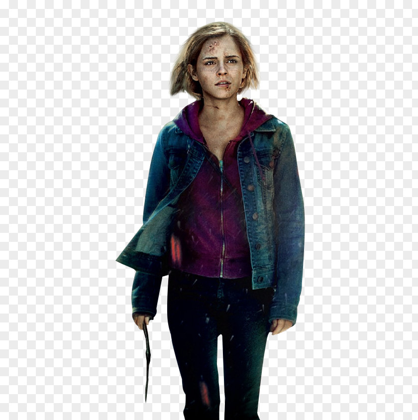 Hermione Granger Harry Potter And The Philosopher's Stone Battle Of Hogwarts Narcissa Malfoy Kreacher PNG