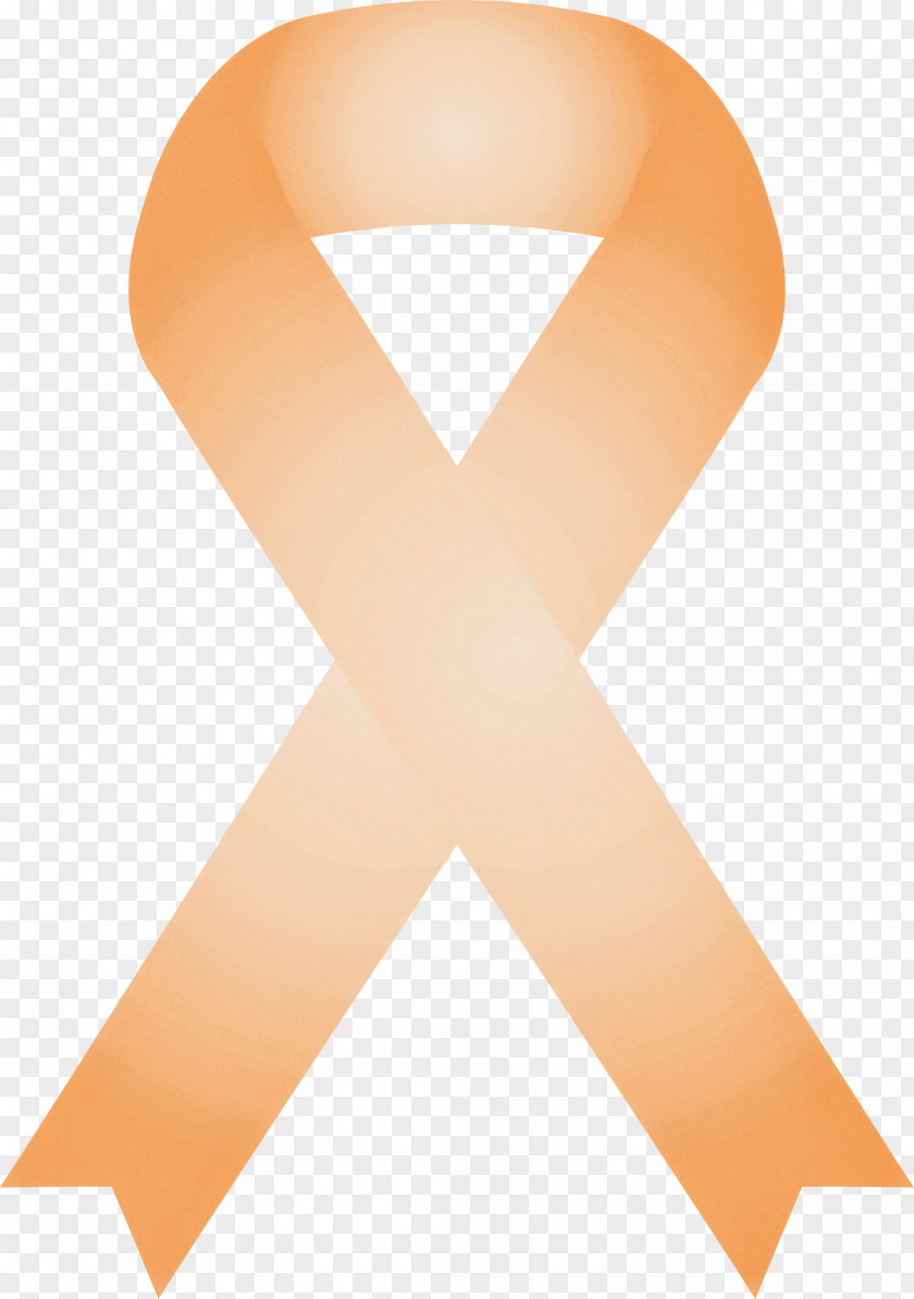 Solidarity Ribbon PNG