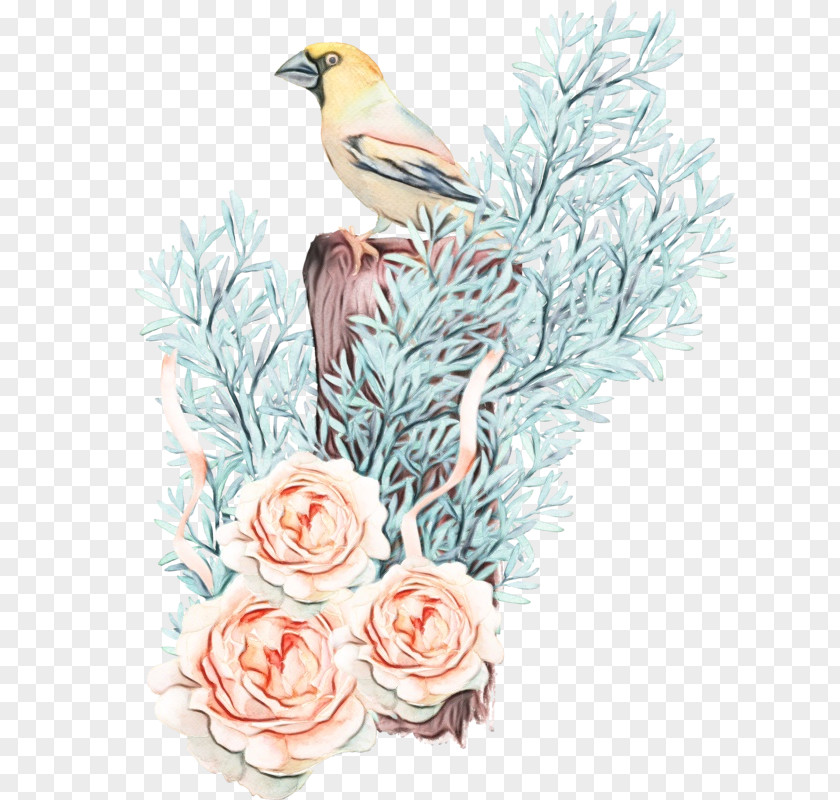 Twig Western Tanager Bird Branch Plant Songbird Watercolor Paint PNG