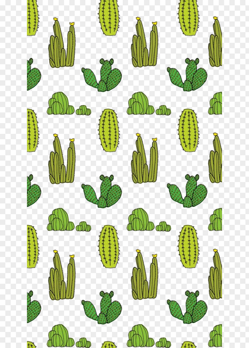 Cactus Paper Cactaceae Succulent Plant Wallpaper PNG