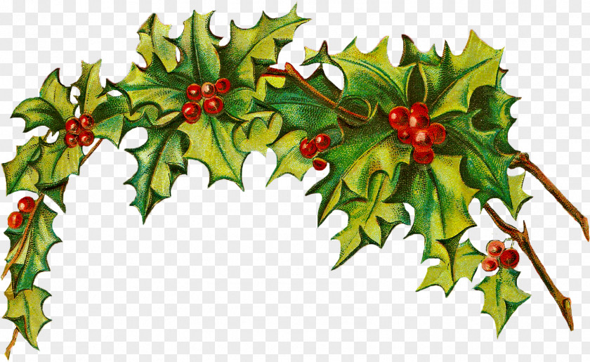 Christmas Eve Decoration Clip Art PNG