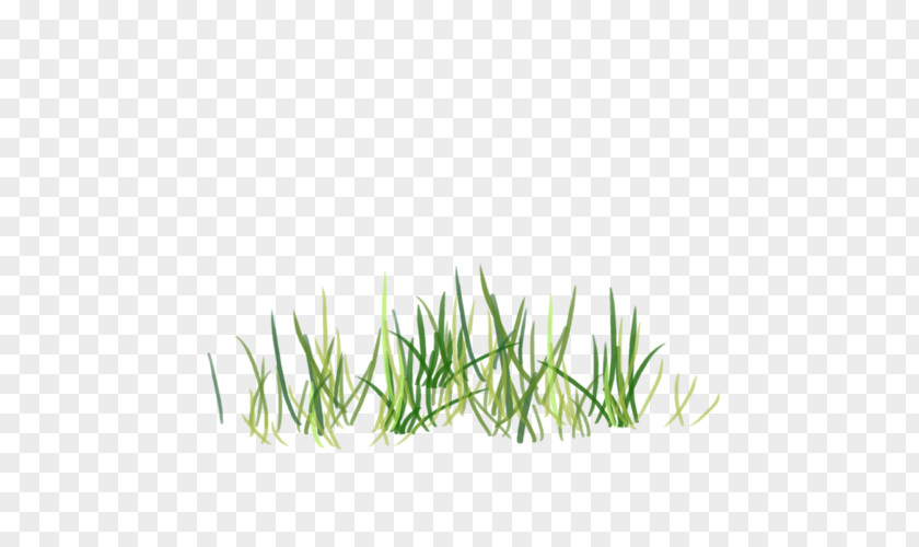 Grass Green Clip Art PNG