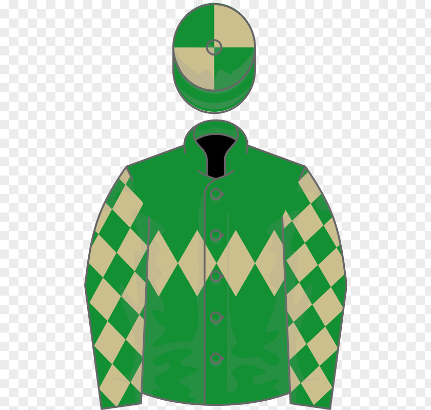 Horse Racing Galway Hurdle Sleeve PNG