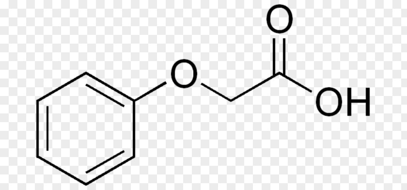Phenylalanine Amino Acid Cinnamic Caffeic PNG