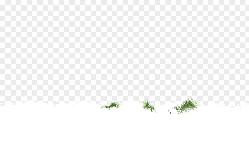 Snow Tree Leaf Desktop Wallpaper Sky Plant PNG