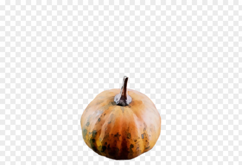 Winter Squash Gourd 0jc Fruit PNG