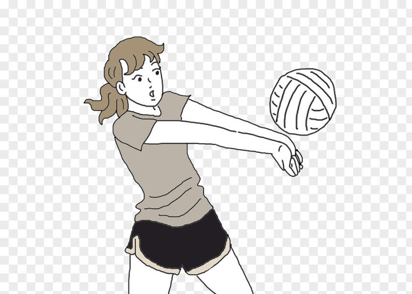 Ball Volleyball Sports Net Sport PNG