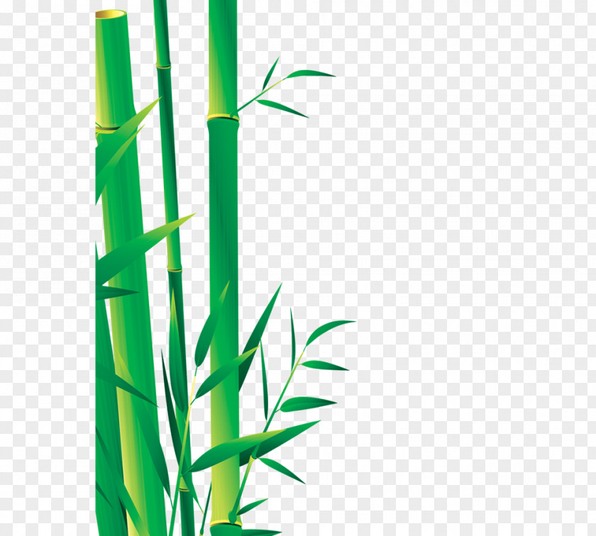 Bamboo Bamboe Icon PNG