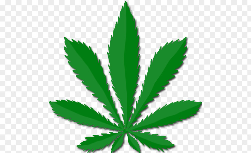 Cannabis Medical Smoking PNG