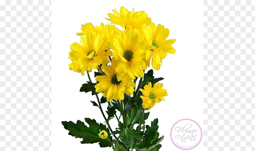 Chrysanthemum Flower Bouquet Yellow Seversk Marguerite Daisy PNG