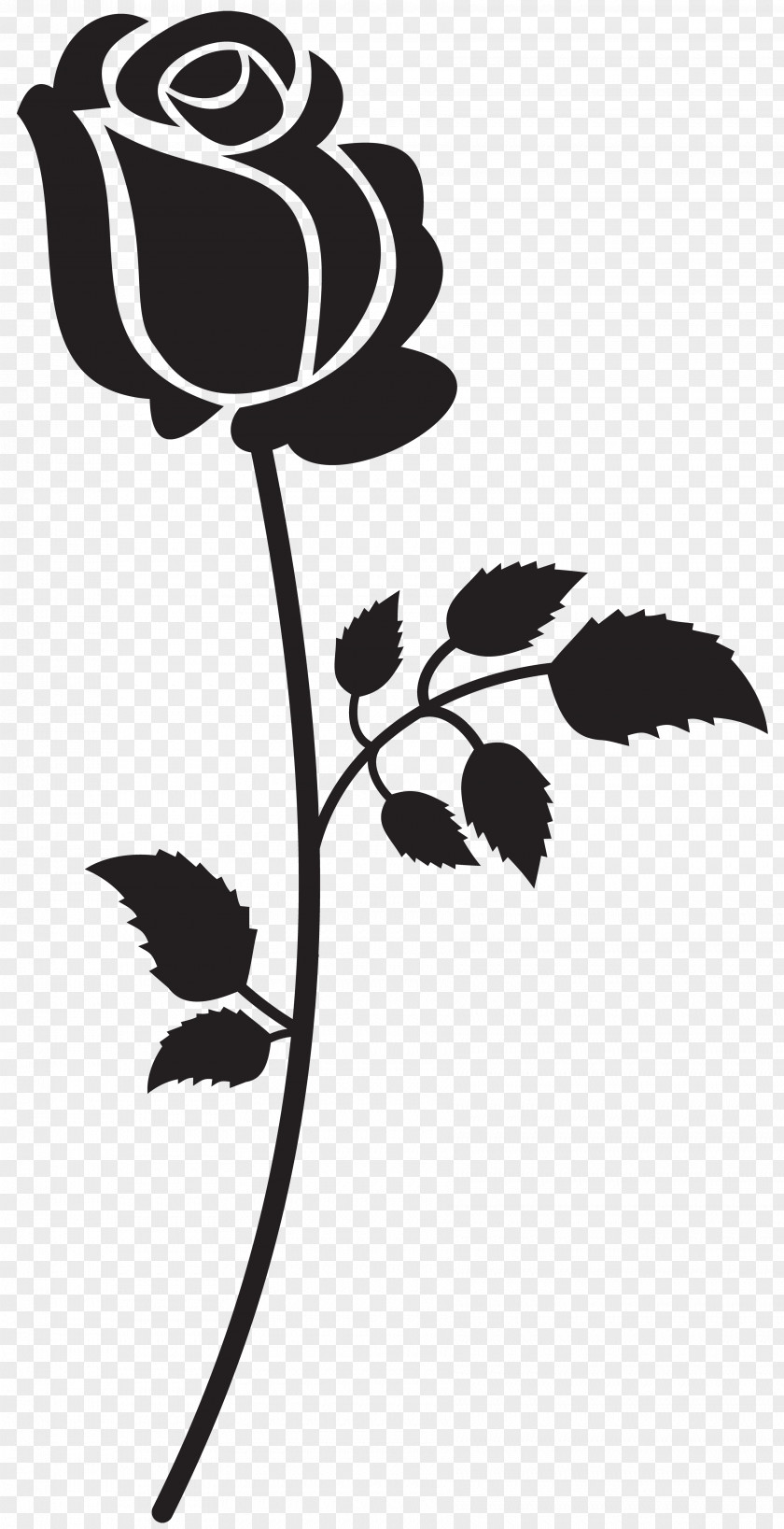 Rose Silhouette Cliparts Clip Art PNG