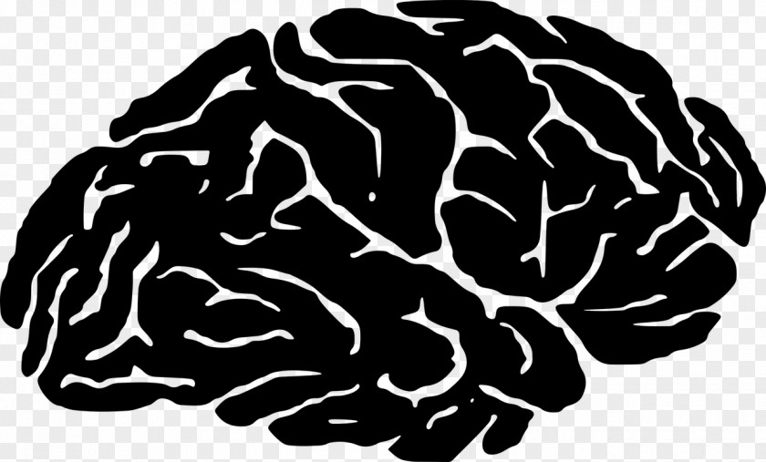Brain The Athletic Human Light Clip Art PNG