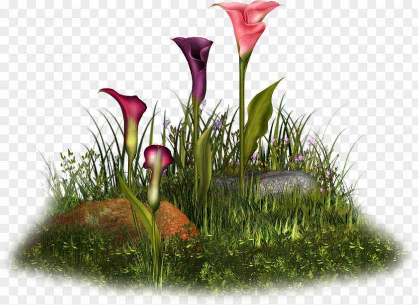 Design Floral Flowerpot Love PNG