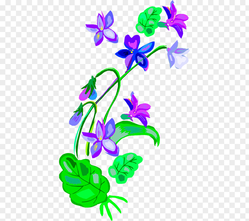 Design Petal Floral PNG