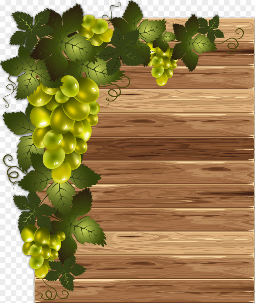 Grape Common Vine Leaves Clip Art PNG