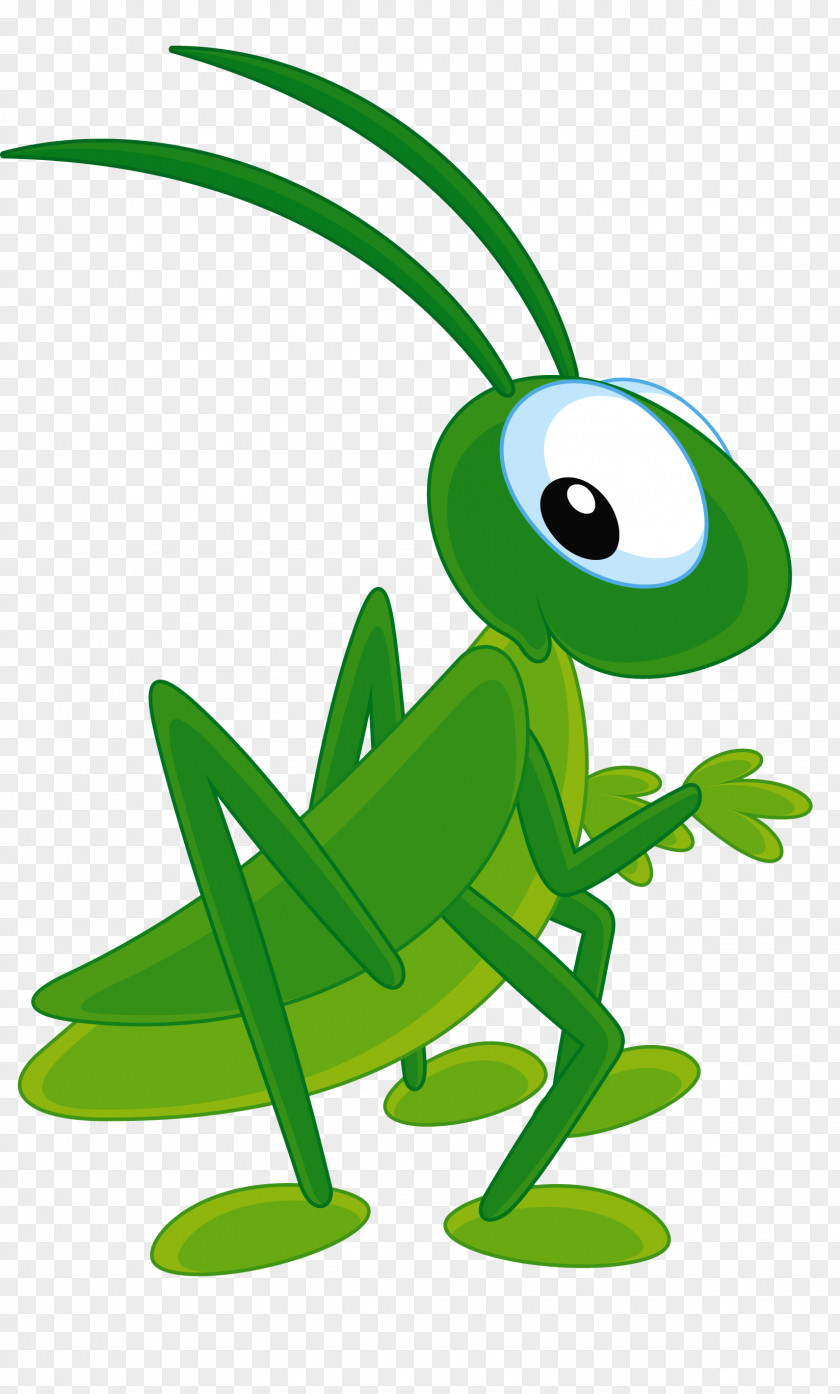 Green Grasshopper Insect Cartoon Bee Clip Art PNG