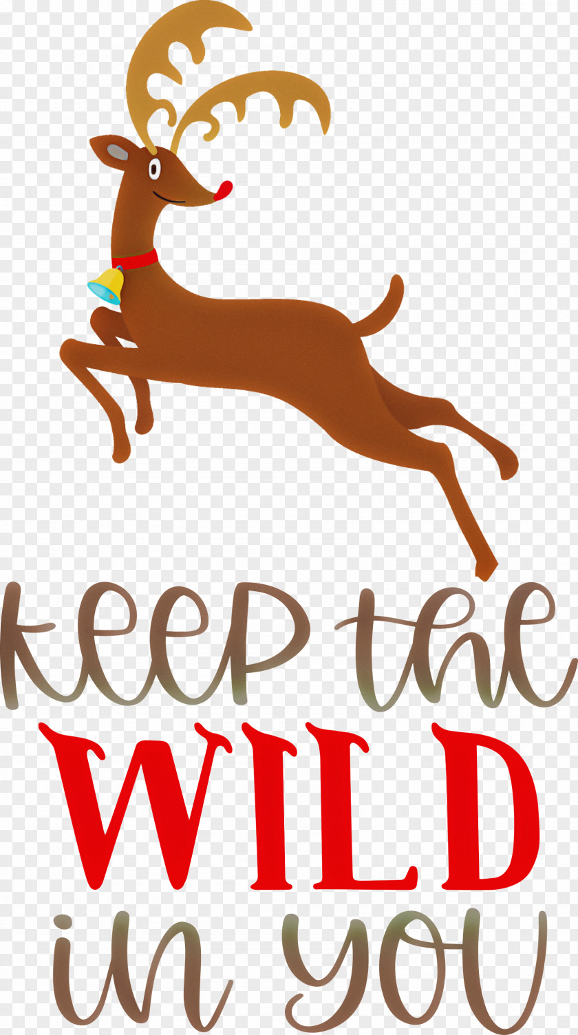 Keep Wild Deer PNG