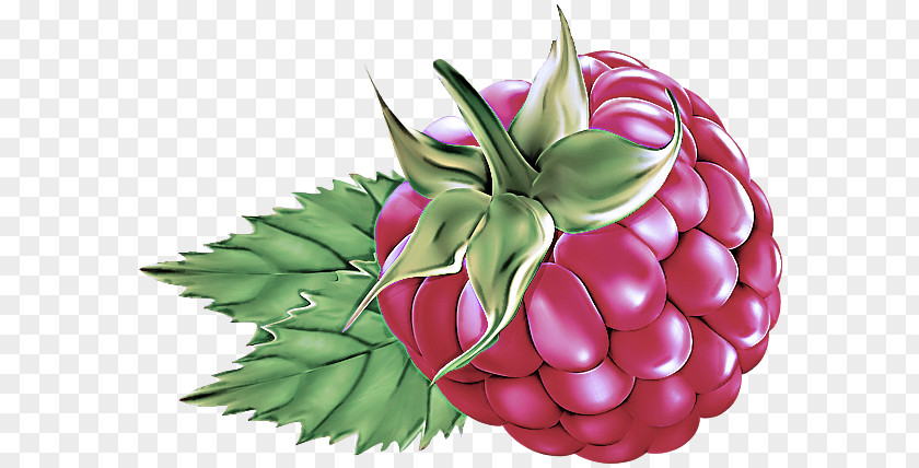 Natural Foods Pink Plant Leaf Fruit PNG