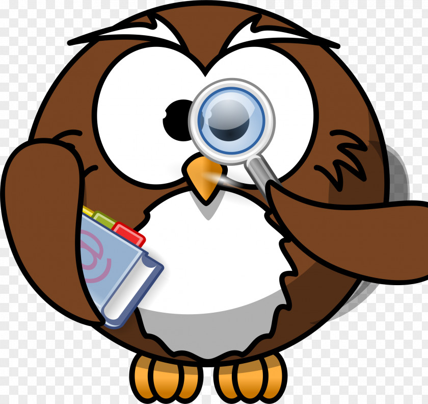 Owls Owl Cartoon Clip Art PNG