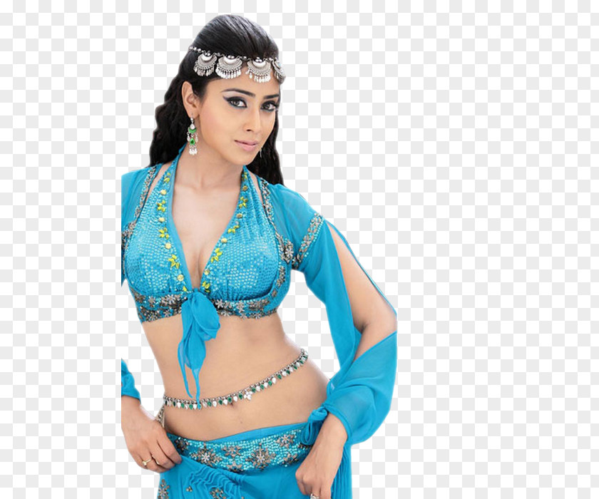 Shriya Saran Sivaji Female Indian People PNG