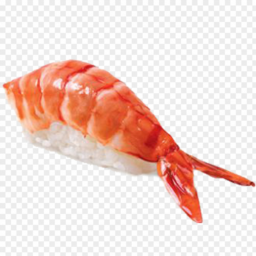 Sushi Caridean Shrimp Japanese Cuisine Tempura Makizushi PNG