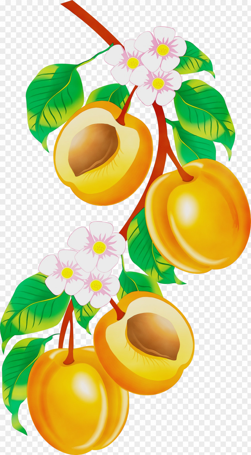 Apple Fruit Armenian Food Juice Peach PNG