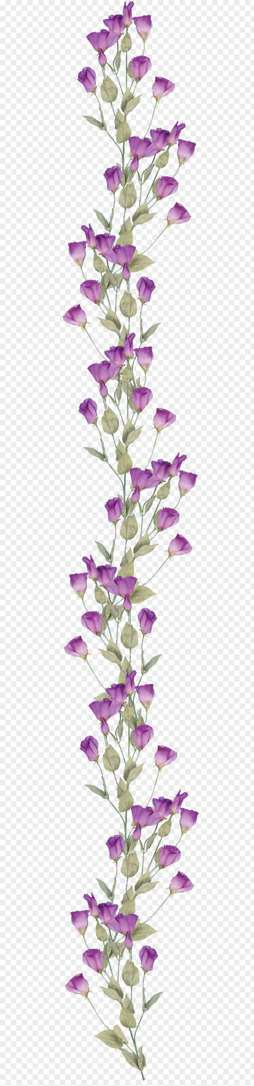 Bouquet Of Flowers Flower Purple Nosegay PNG