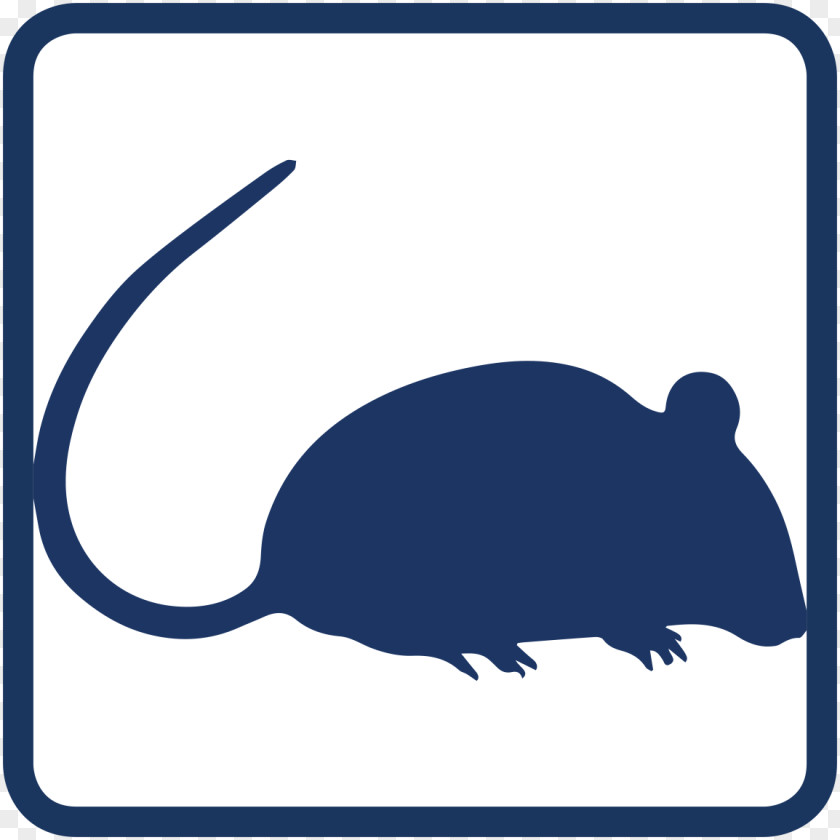 Mouse Animal Rodent Black Rat Clip Art PNG