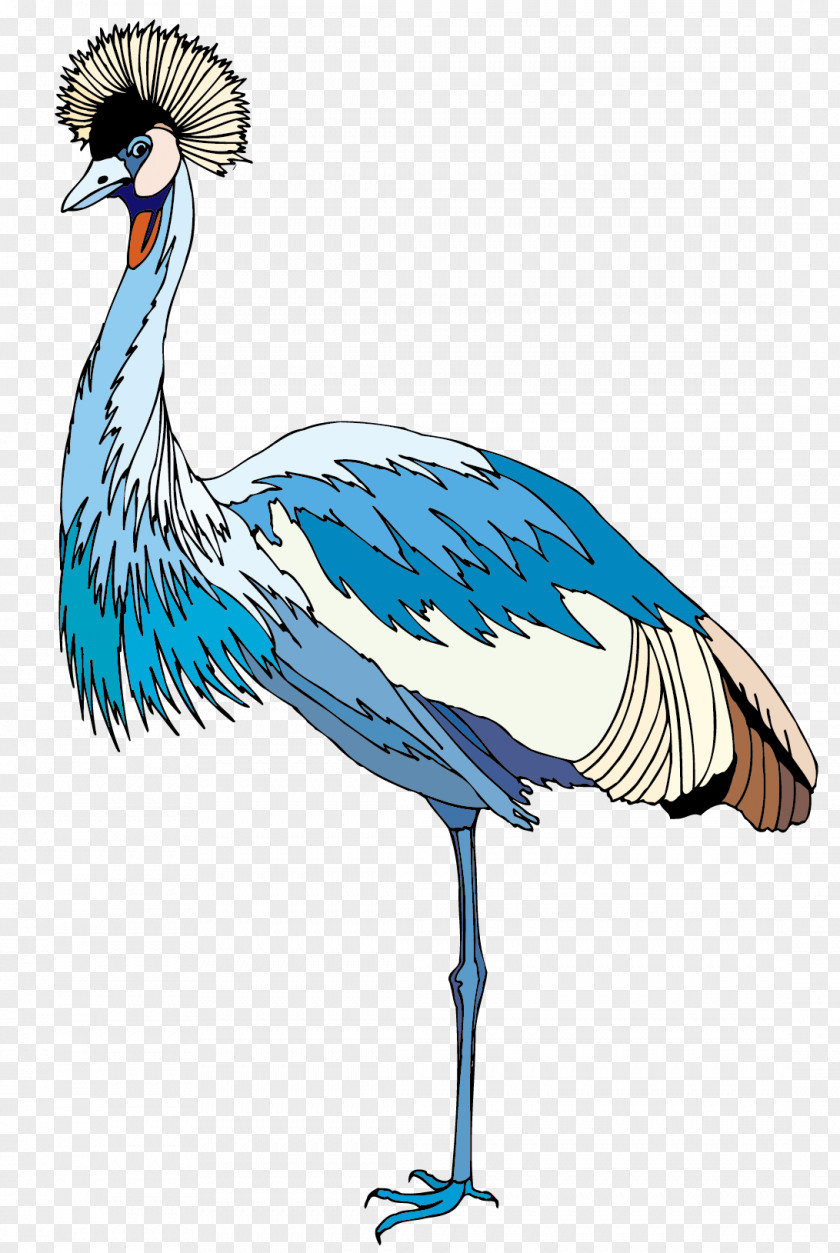 Peacock Vector Material Crane Bird Illustration PNG