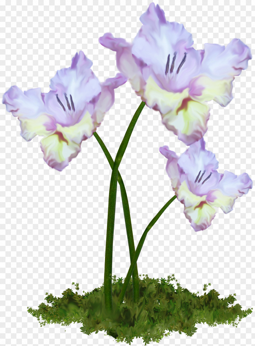 Spring Cut Flowers Plant Stem PNG