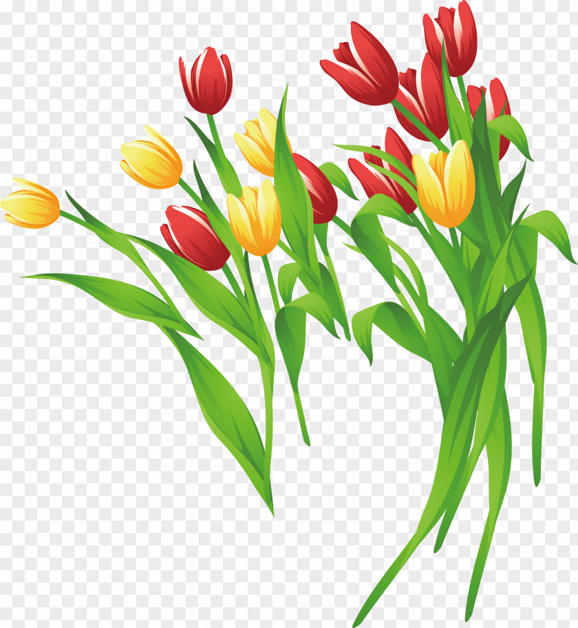 Tulip Vector Material Flower Clip Art PNG