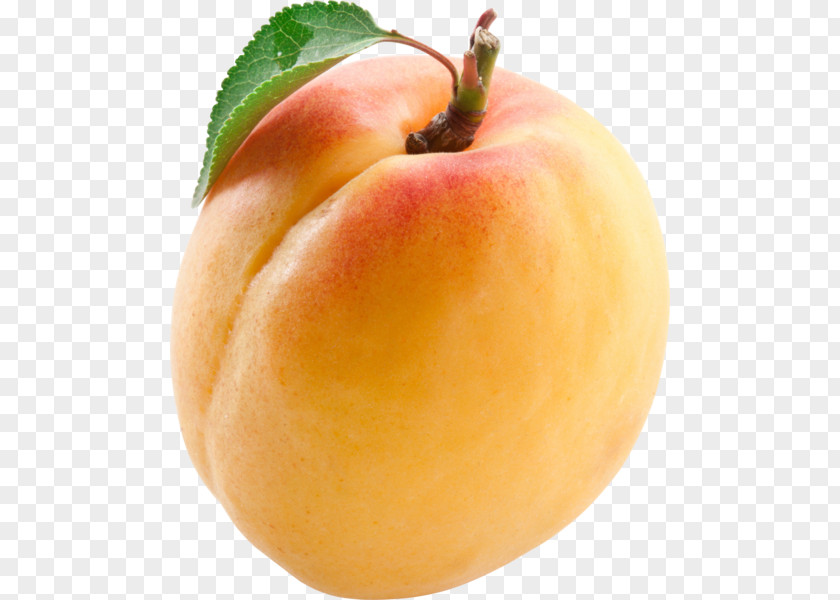 Apricot Stock Photography Fruit Peach PNG
