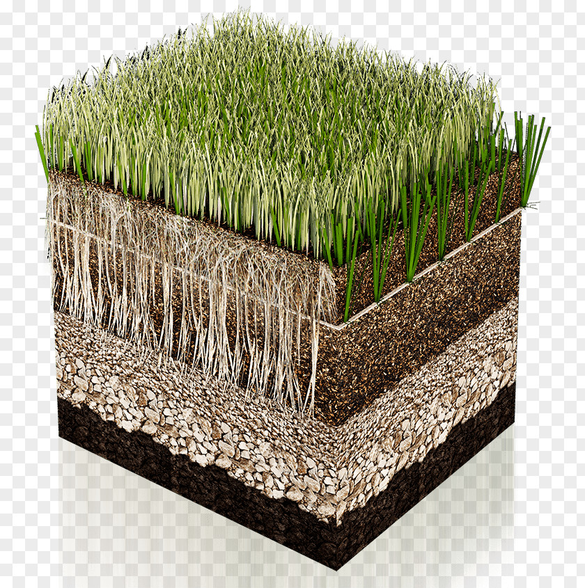 Artificial Turf Lawn Hybrid Grass Carpet Grassland PNG