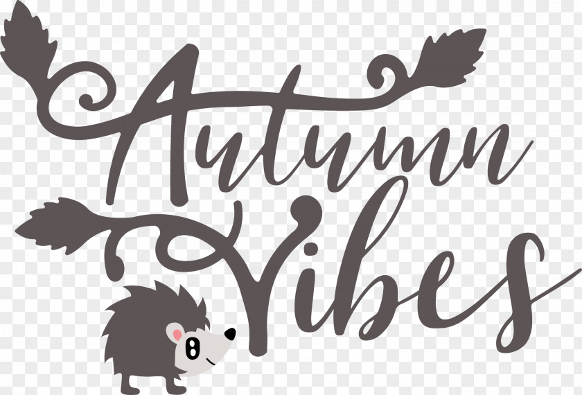 Autumn Vibes Autumn Fall PNG