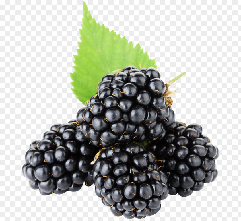 Blackberry Pie Fruit PNG