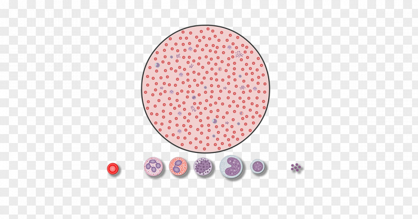 Blood Cells Carpet Red Cell Tufting Bedroom PNG
