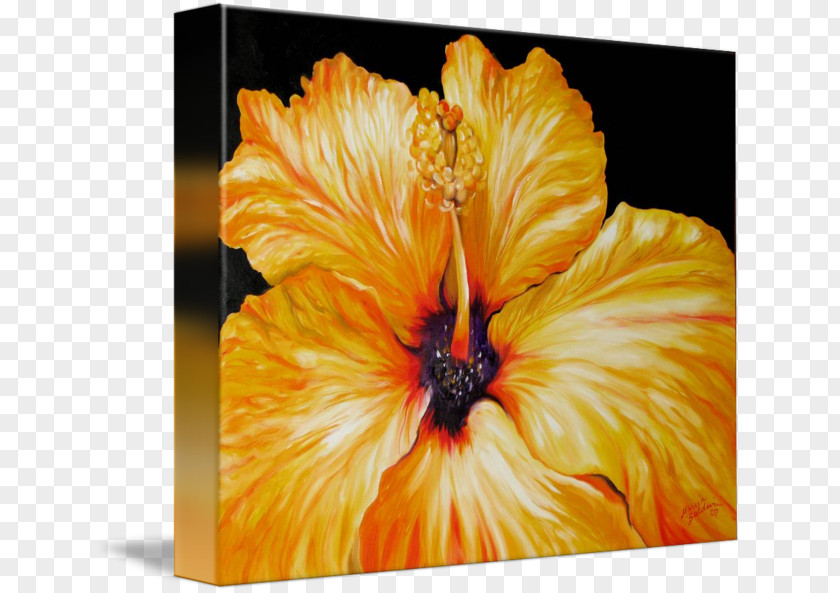 Hibiscus Gallery Wrap Modern Art Canvas PNG