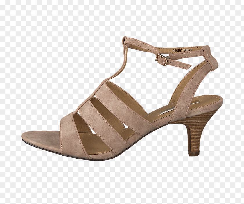 Sandal Slide Suede Shoe Walking PNG