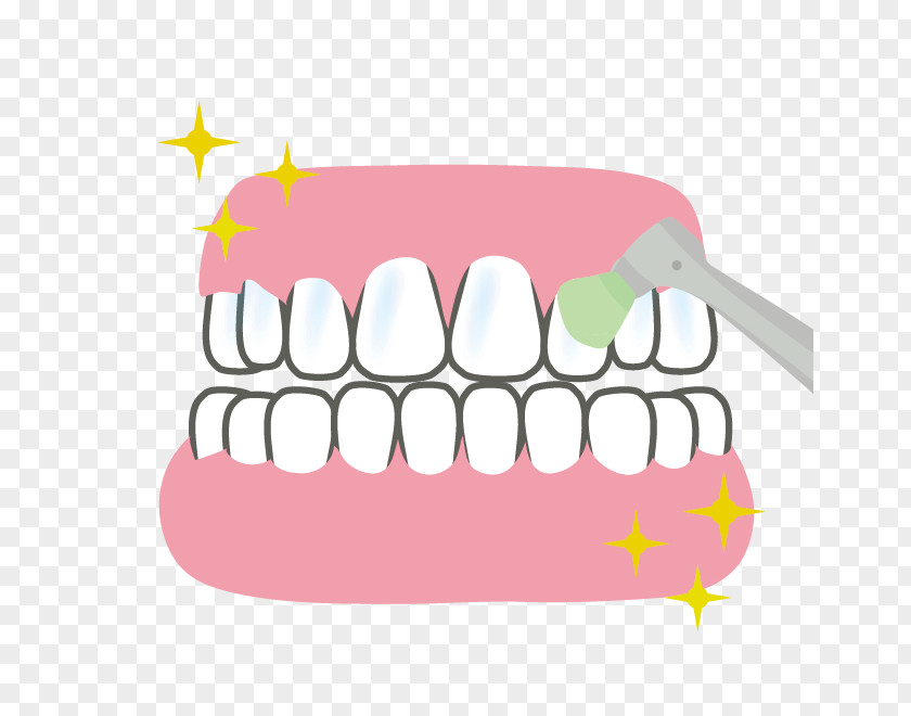 Teeth Cleaning Twig Tooth Dentures Dentist 歯科 Dental Plaque PNG