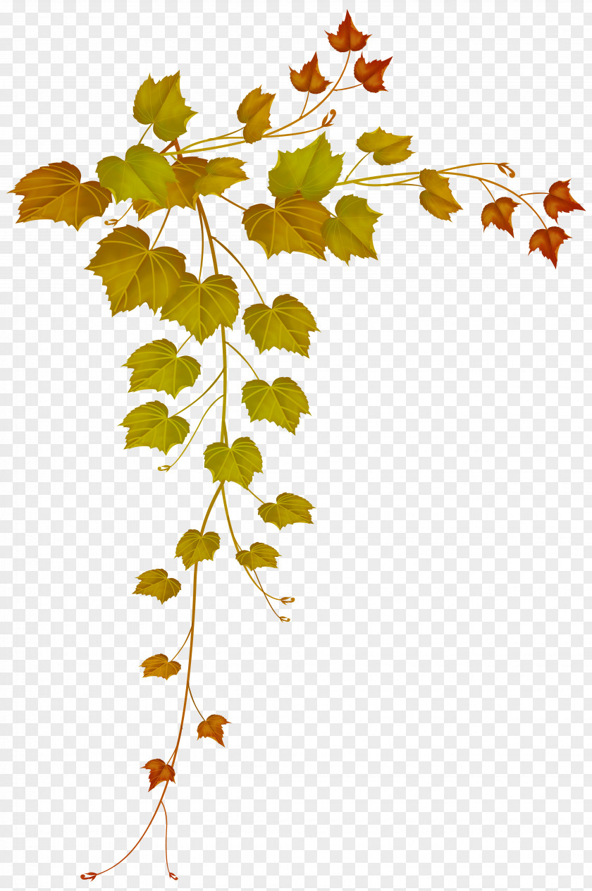 Autumn Leaf Color Clip Art PNG