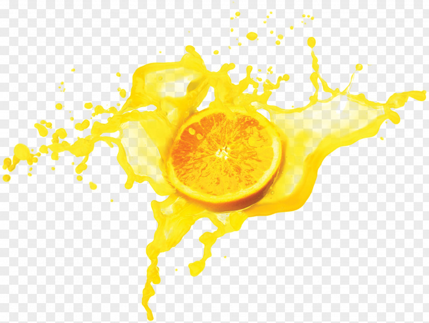 Orange Juice Lemon Fruchtsaft PNG