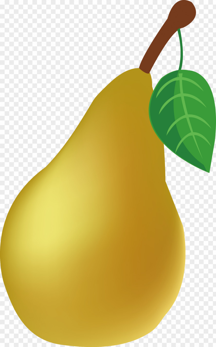 Pear Vector European Fruit Auglis PNG