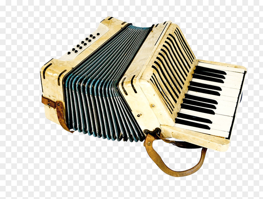 Ancient Musical Instruments Oxford Advanced Learners Dictionary Concertina Instrument Accordion Definition PNG