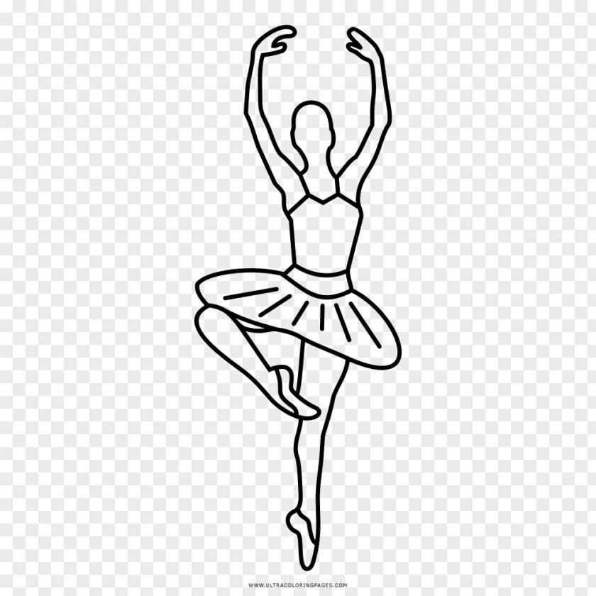 Ballerina Drawing Ballet Dancer Line Art PNG