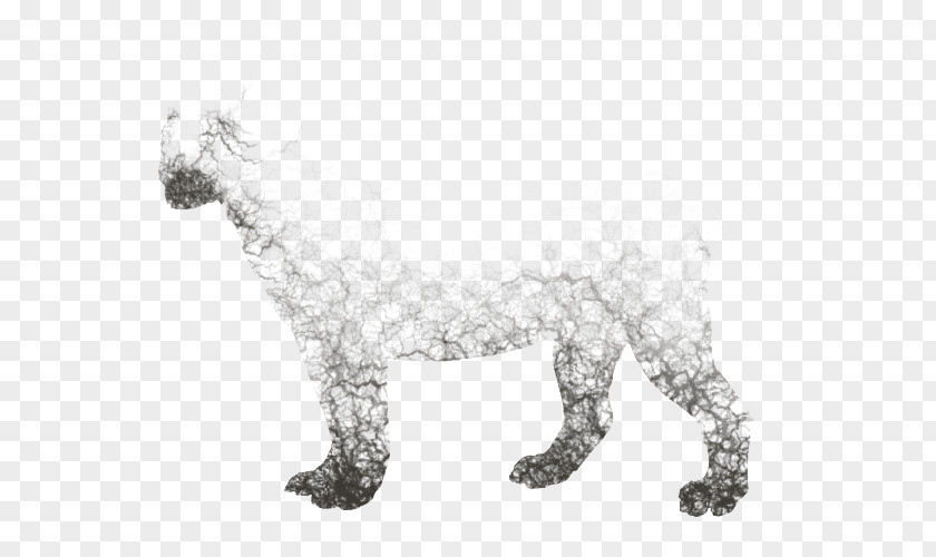 Cobwebs Cat Dog Mammal Drawing Carnivora PNG