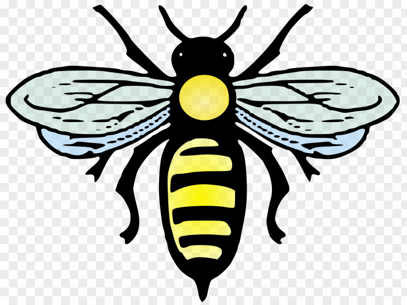 Bee Western Honey Animal PNG