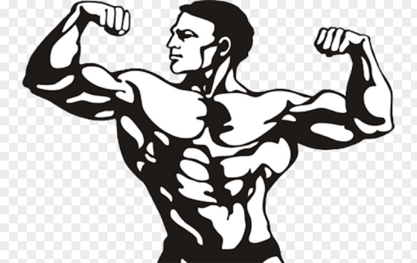 Bodybuilding Drawing Clip Art PNG