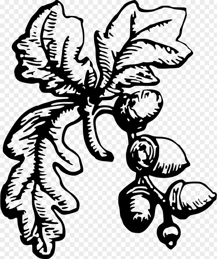 Clip Art Flower Oak Bay Municipal Hall Visual Arts PNG