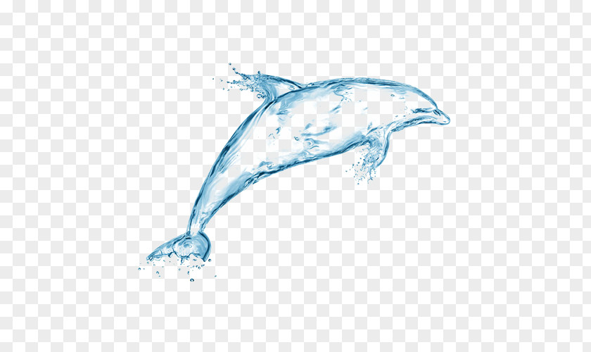 Dolphins Water Droplets Dolphin Stock Photography Royalty-free Wallpaper PNG