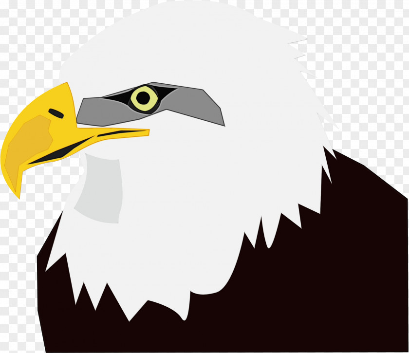 Falconiformes Logo Eagle PNG